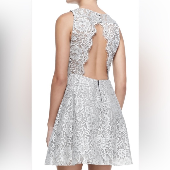 NWT Alice + Olivia Woman’s Natalia Open-Back Lace A-Line Taupe Lace Dress Size 0 - Picture 2 of 9